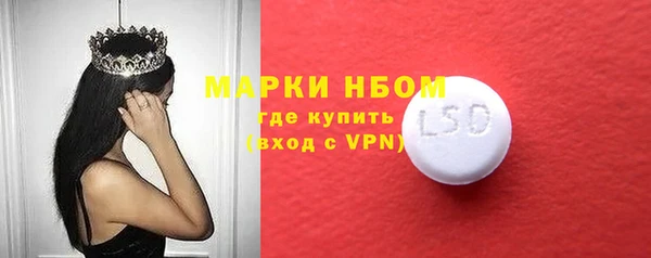 дмт Алзамай